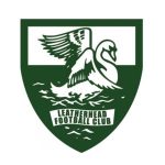 勒色赫队标
